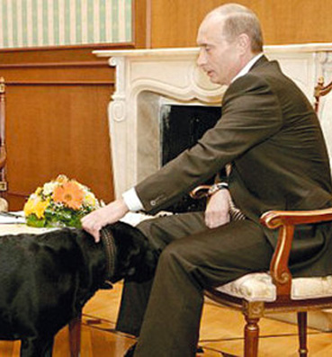 روسيا ترفض عريساً يابانيا لكلبة الرئيس بوتين