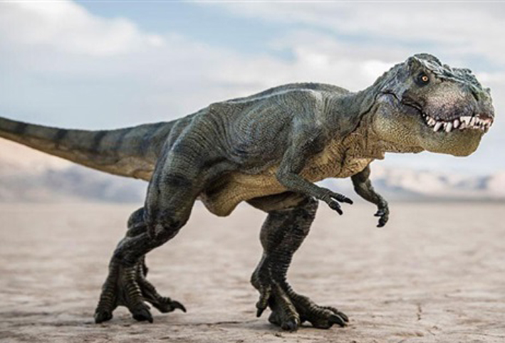 بالقيديو .. العثور على بيض ديناصورات في الصين وآمال بإعادتها إلى الحياة