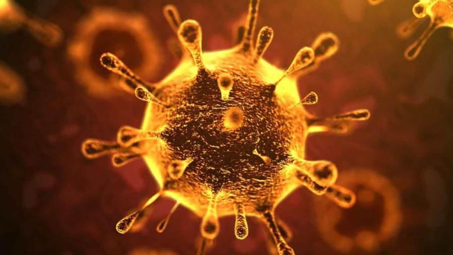 اكتشاف جسم مضاد قد يمنع فيروس كورونا من إصابة الخلايا!