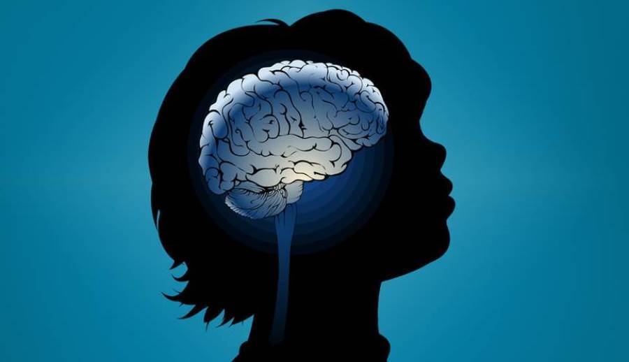 علماء بجامعة ميريلاند يكتشفون الجين المرتبط باضطراب النمو والإعاقة الذهنية