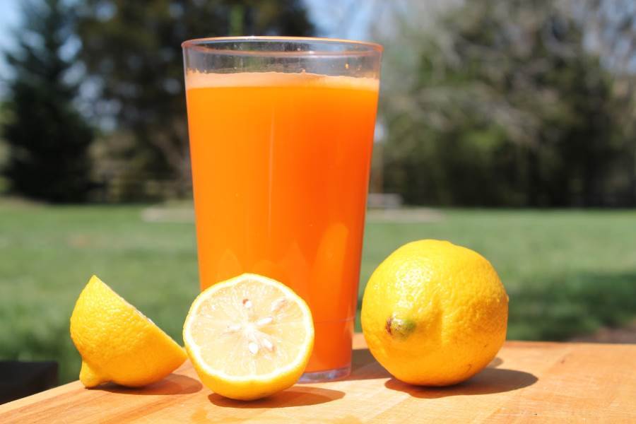 كيف تحصلين على أكبر كمية عند عصر البرتقال والليمون؟