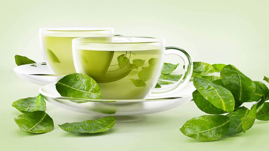 أفضل الأوقات لشرب الشاي الأخضر.. لفاعلية أكبر
