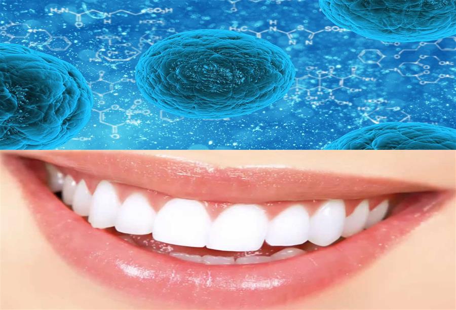 الخلايا الجذعية تعيد إنبات أجزاء من الأسنان 