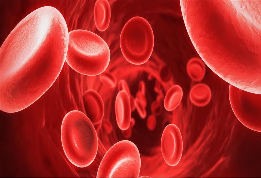خلايا الجلد لمعالجة مرض فقر الدم