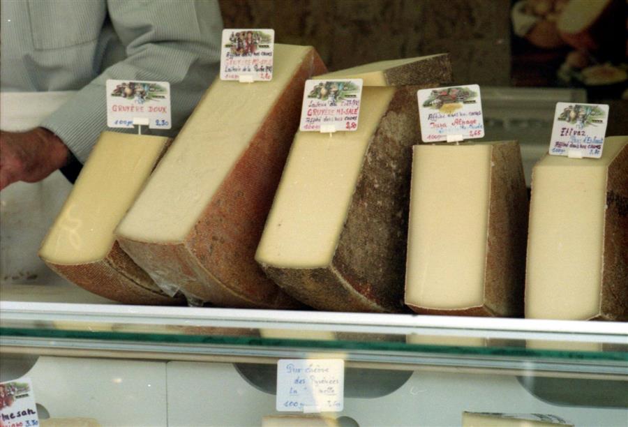 صناعة الجبن .. علم المذاق اللذيذ