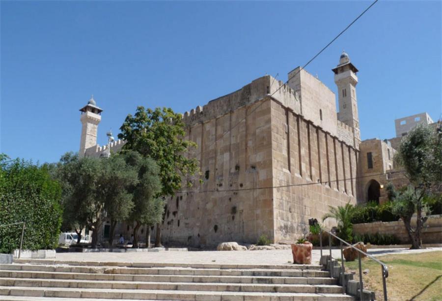 أم فلسطينية تعرض أعضائها للبيع لإنقاذ رجولة ابنها