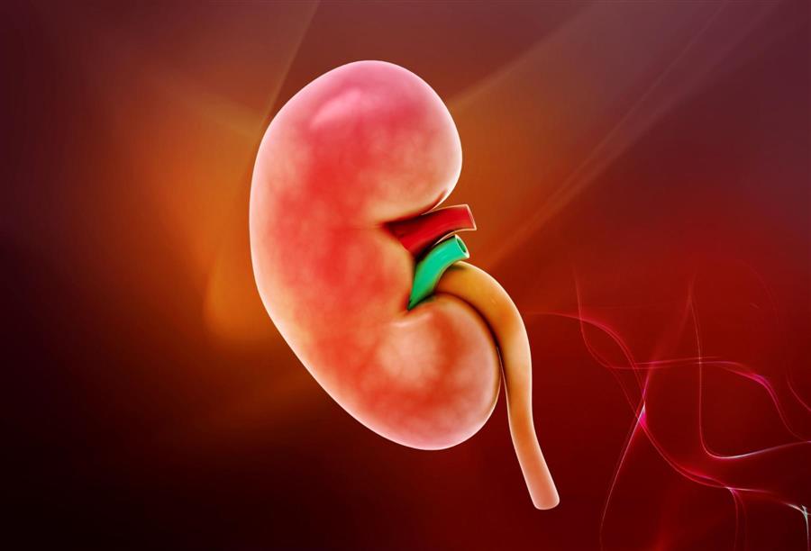 العملية هي الأولي من نوعها وتعد  تعد أضافة علمية