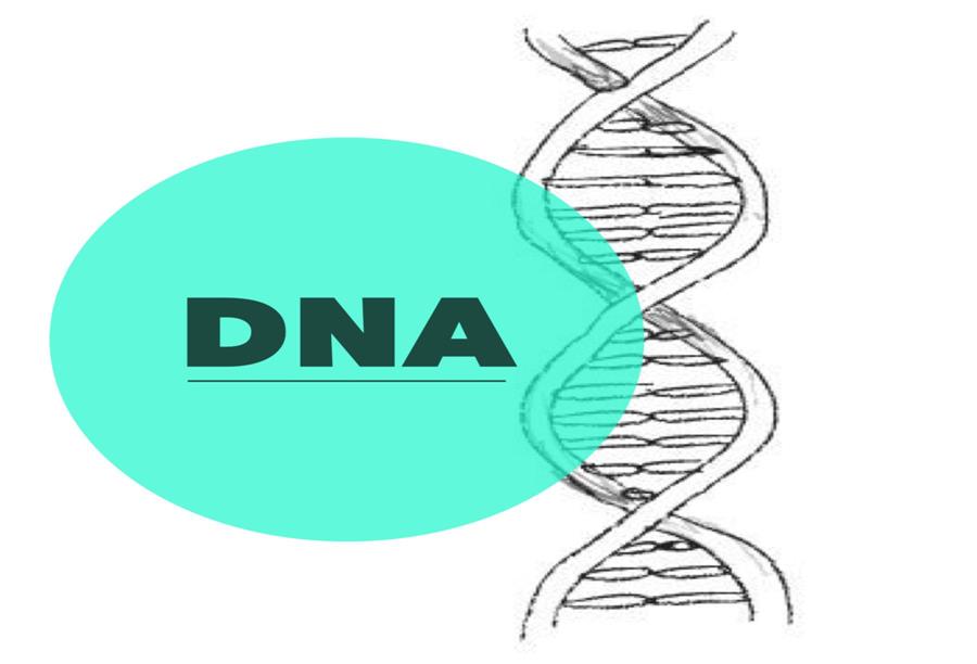 مقاهى DNA تقدم خدمة تحليل الحمض النووى لزبائنها