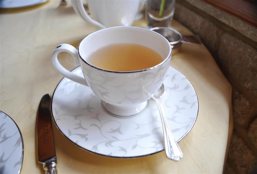 الشاي الأبيض .. يجدد حيوية الجسم ويمنع الهرم