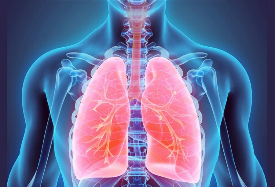 الدليل الكامل لأمراض الجهاز التنفسي في الشتاء .. وسبل الوقاية منها