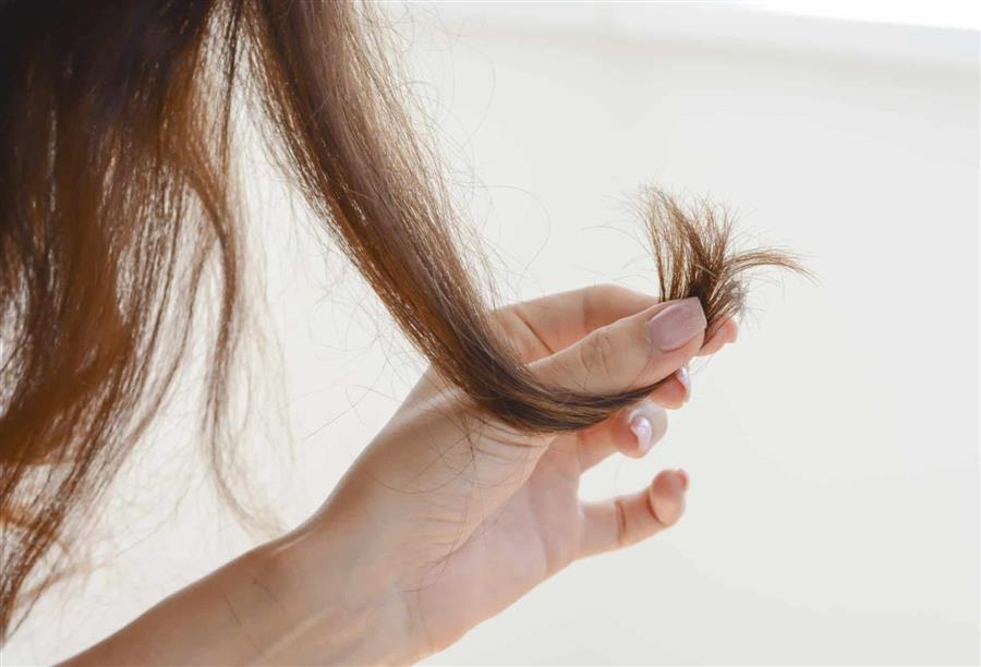 خبراء العناية يقدمون لك .. مزيد من العلاجات والحلول لمشاكل الشعر