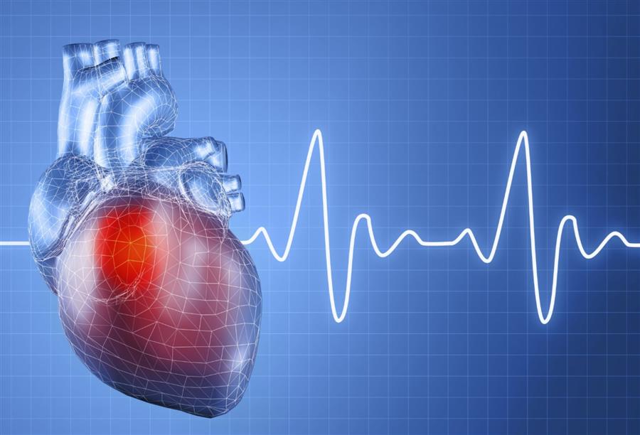 علاقة بين احد بروتينات الدم وامراض القلب