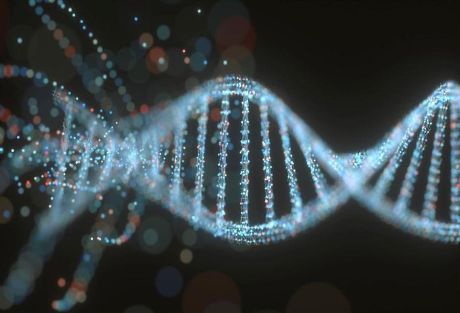 هل تؤثر الاختبارات الجينية الشخصية على سلوك الأفراد الصحي؟