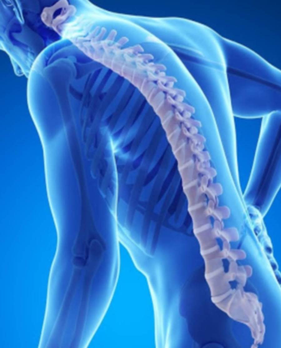 الدكتور لورين فيشمان .. يقترح مجموعة تمارين قديمة لمعالجة مشكلات العظام