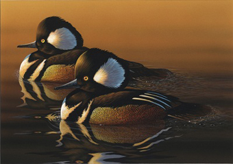 عثر على هذا الخفاش في جزيرة كات با بخليج هالونج شمالي فيتنام