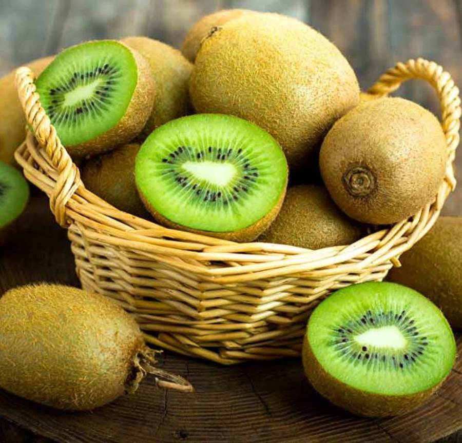 الكيوي والبرتقال والشيكولاتة تساعد الطلبة فى النجاح بالثانوية العامة