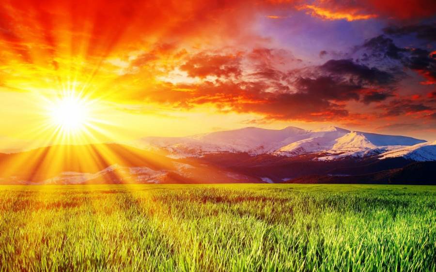  دراسة: أشعة الشمس قد تقى من سرطان البنكرياس