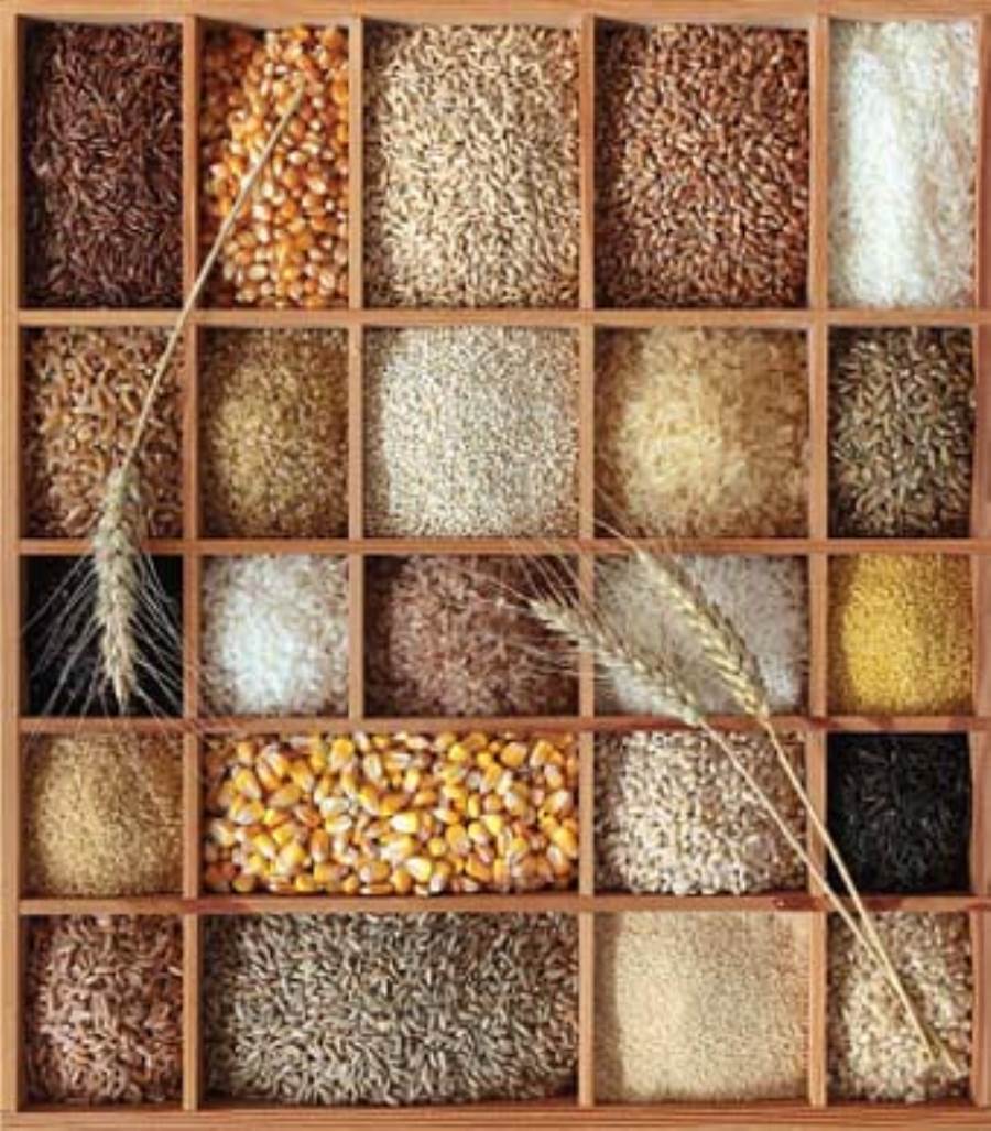 8 أنواع من الحبوب القديمة ..  تجتذب الاهتمام تجذب أهتمام خبراء التغذية