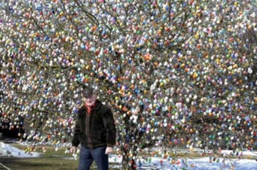بالصور .. شجرة مزينة بـ 10 ألاف بيضة من بيض عيد الفصح