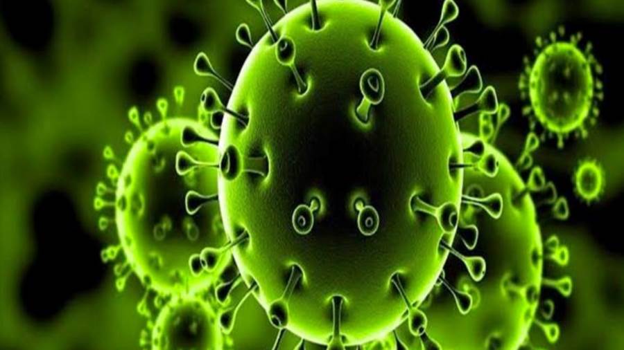 البروفسور غازي عبد اللطيف جمجوم: قدرته على الانتشار لا تزال محدودة