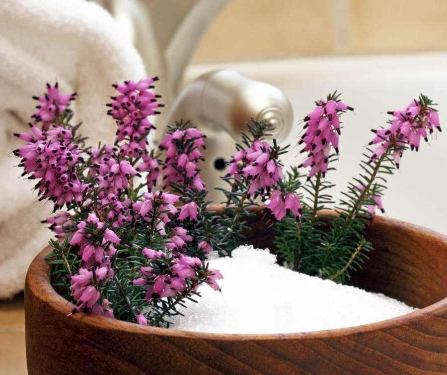 ملح «إبسوم» .. يخفف من بروز البطن ويقضي على مشكلات اختزان الماء