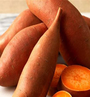 البطاطا الحلوة تمنع الإصابة بالعمى وفعالة في التخسيس