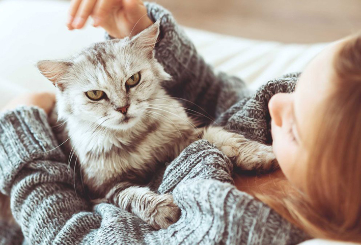 هل تسبب تربية القطط الإجهاض؟