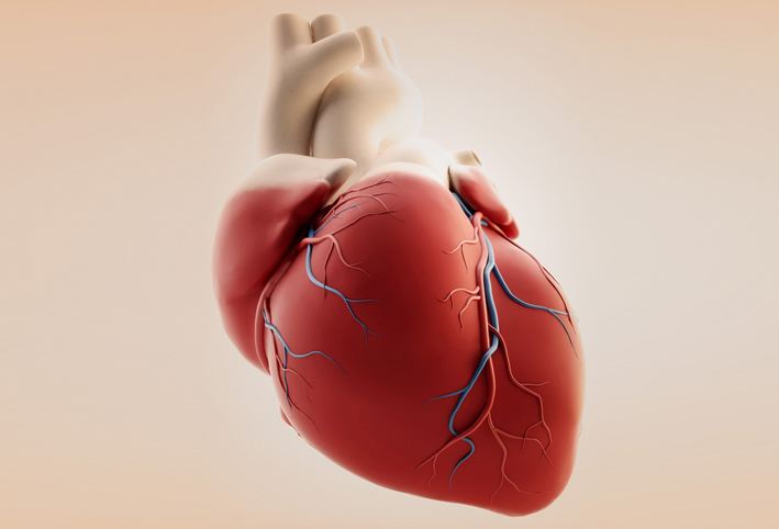 تطوير مضخة قلب مغناطيسية لخفض فرص الإصابة بتجلط الدم و السكتة الدماغية