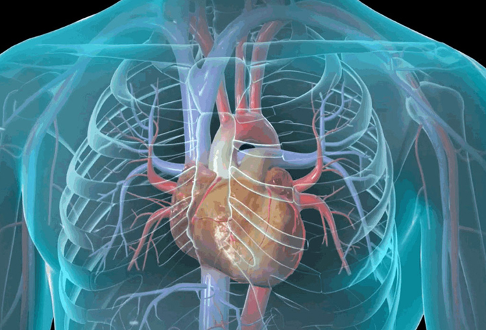 الحقن المجهرى مرتبط بأمراض القلب أثناء الحمل 
