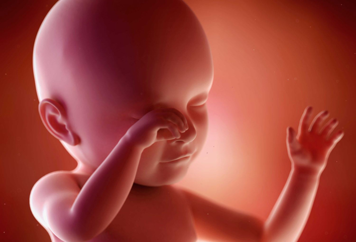تطور الجنين من الأسبوع الـ 28 وحتى الأسبوع 31 من الحمل