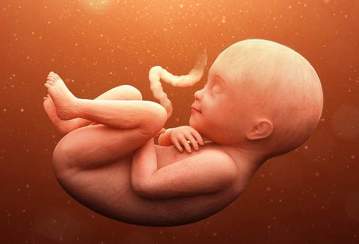 تطور الجنين في الأسبوع 32 حتى الأسبوع الـ 35 من الحمل