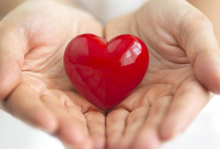 العلماء يقتربون من علاج القلب المكسور