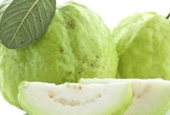  فوائد أوراق الجوافة للسيطرة على نسبة السكر فى الدم .. تعرفى عليها