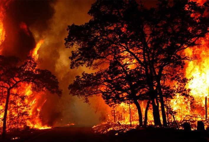 أستراليا تعلن حالة الطوارئ مع اقتراب حرائق الغابات