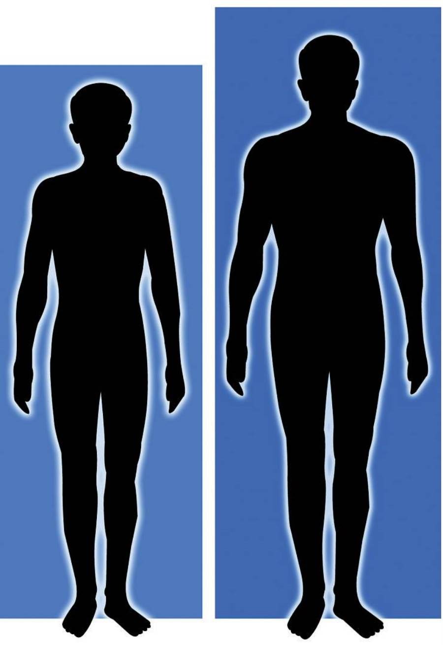 هل ينقص الطول الإنسان مع تقدم العمر؟
