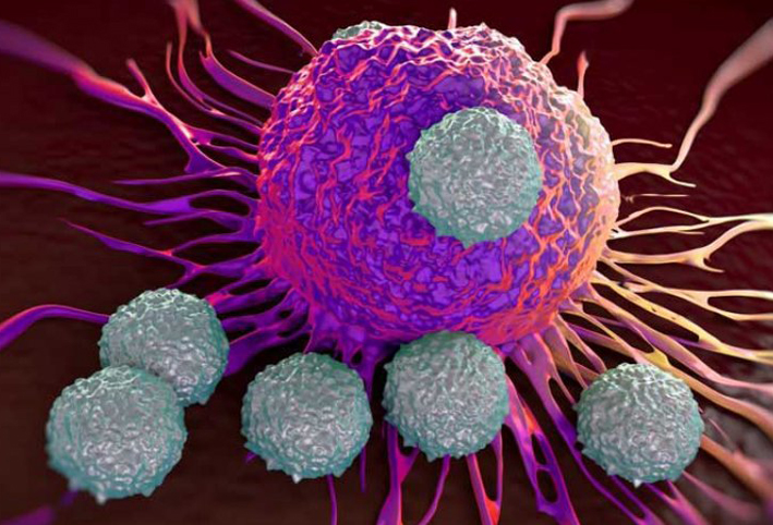 تطوير بكتيريا مبرمجة تدمر الخلايا السرطانية