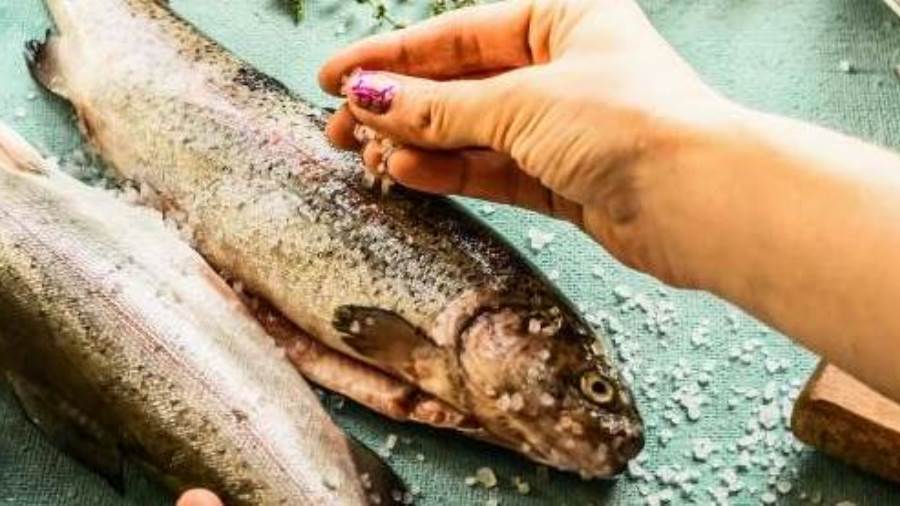 إضافة الملح للطعام شيء في غاية الأهمية لأنه يضيف الكثير للطعام