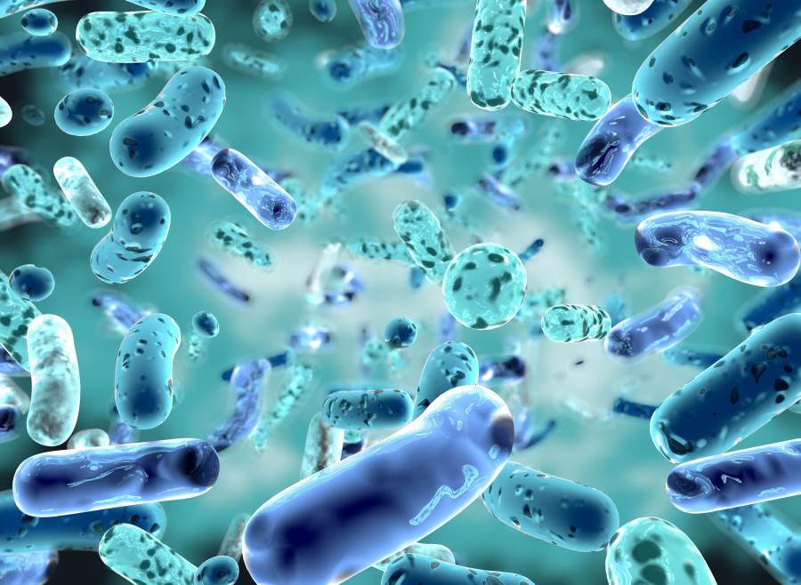 علماء أكسفورد يكتشفون مفتاح تقييد البكتيريا المقاومة للمضادات الحيوية