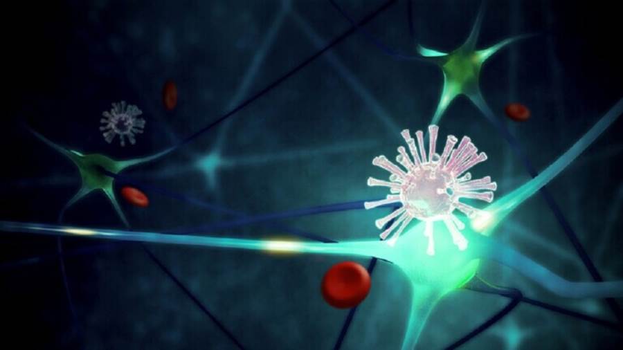 فيروس كورونا