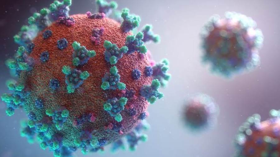 اكتشاف أجسام مضادة قد تحمى من COVID-19