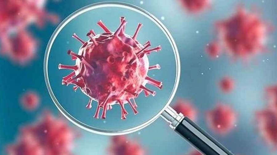 الصحة العالمية تقدم 4 خطوات للسيطرة على كورونا والتمكن من فتح المجتمعات