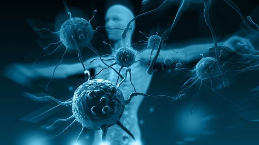 فاكهة مهملة ترفع جهاز المناعة وتحارب السكرى