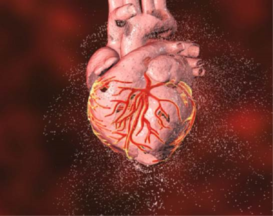 كيف نخفض مخاطر الإصابة بأمراض القلب؟