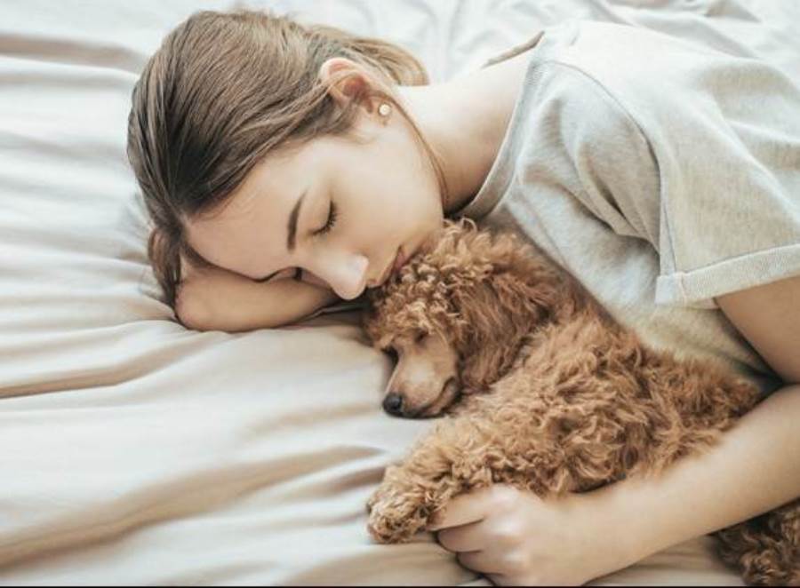 انتبه .. النوم بجانب كلبك يحميك من هذه الامراض