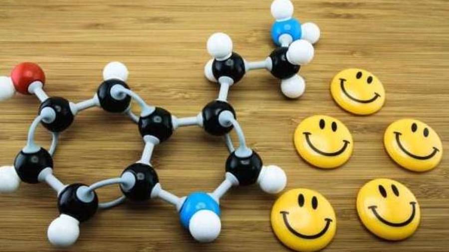 هل يوجد علاقة بين الصبر بهرمون السيترونين فى جسمك