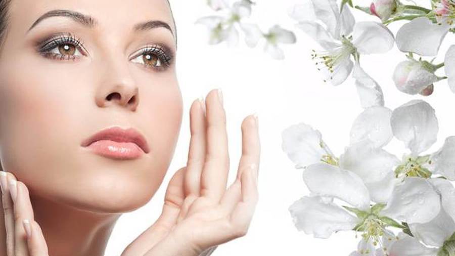 زيت الخروع دليلك للعناية بالبشرة