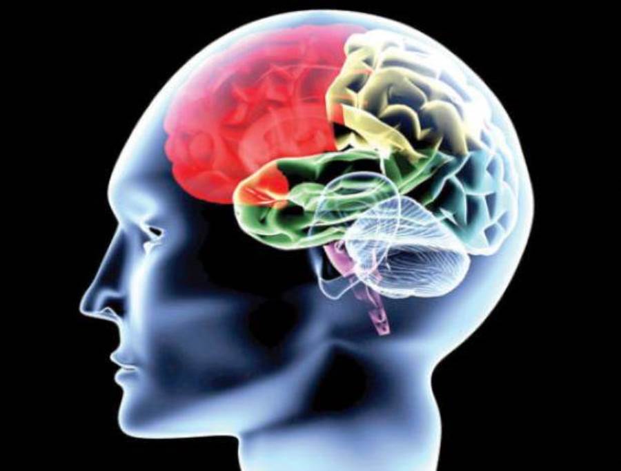 أطعمة تحافظ على المخ وتقوي الذاكرة