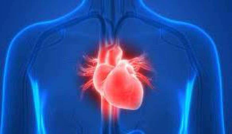 علماء يتوصلون لفهم أكثر لمتلازمة القلب المنكسر .. تعرفي عليها