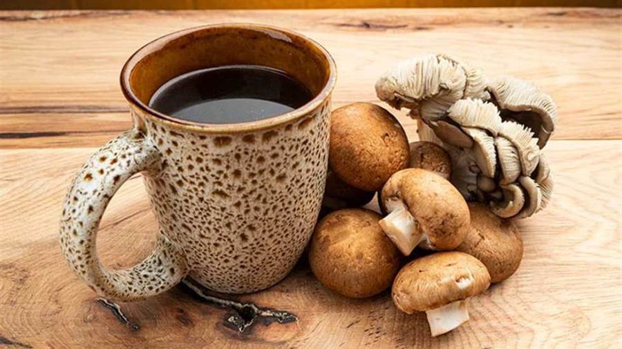 قهوة المشروم