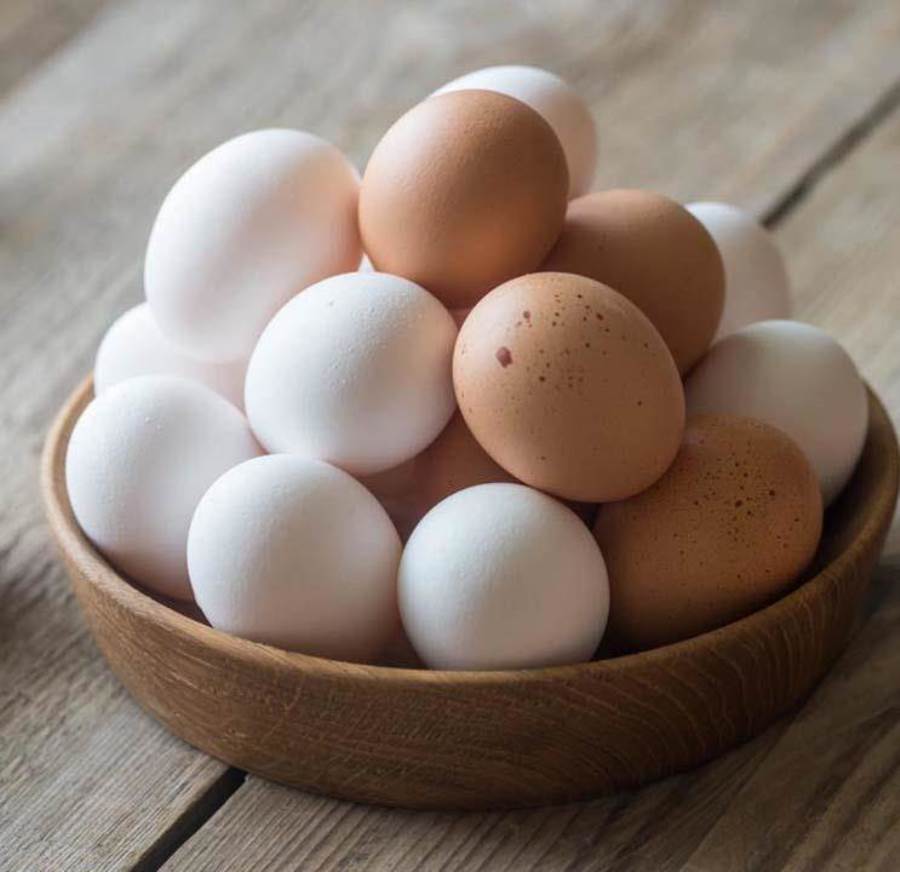 دراسة تكشف أفضل أنواع البيض .. تعرفى عليه